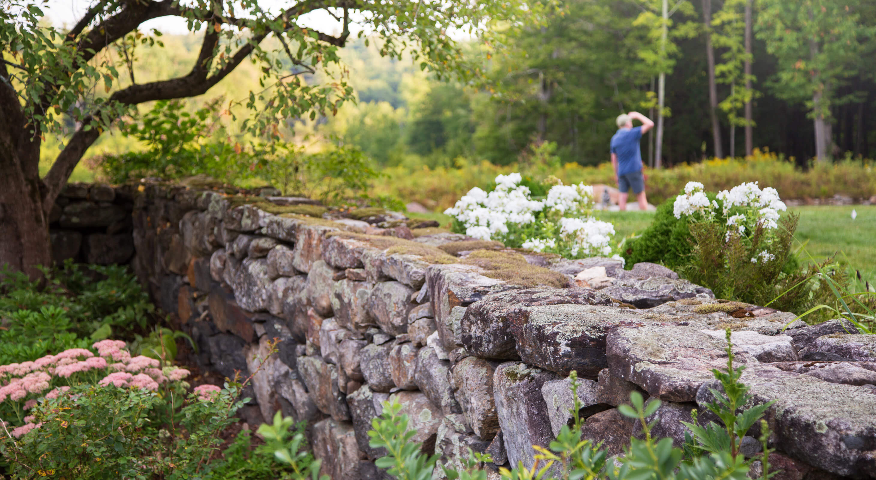 stone wall